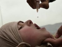 Thee new cases of polio have been recorded in Syria, the WHO says, blaming under-immunisation in the war-wracked country. Vaccination -- like this in Afghanistan -- is simple and relatively cheap