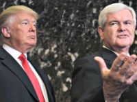 Gingrich, Trump Seth WenigAP