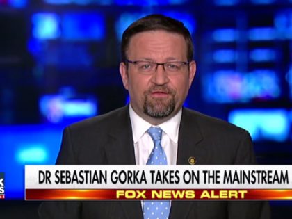 Gorka715