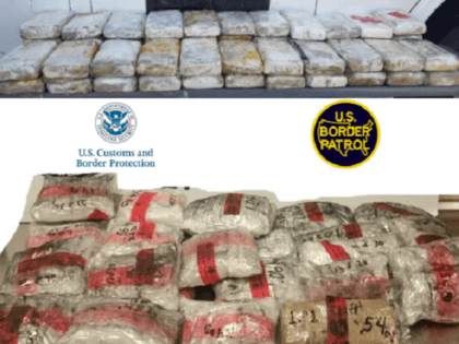 Laredo Drug Seizures