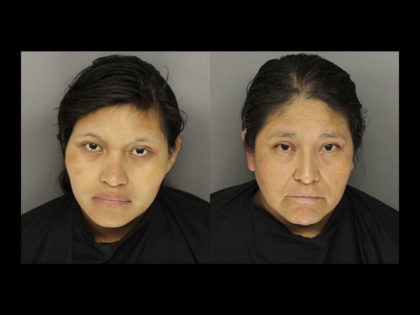 Estela Ruiz-Gomez and Lorenza Gomez Rodriguez, two illegal aliens working for a South Caro