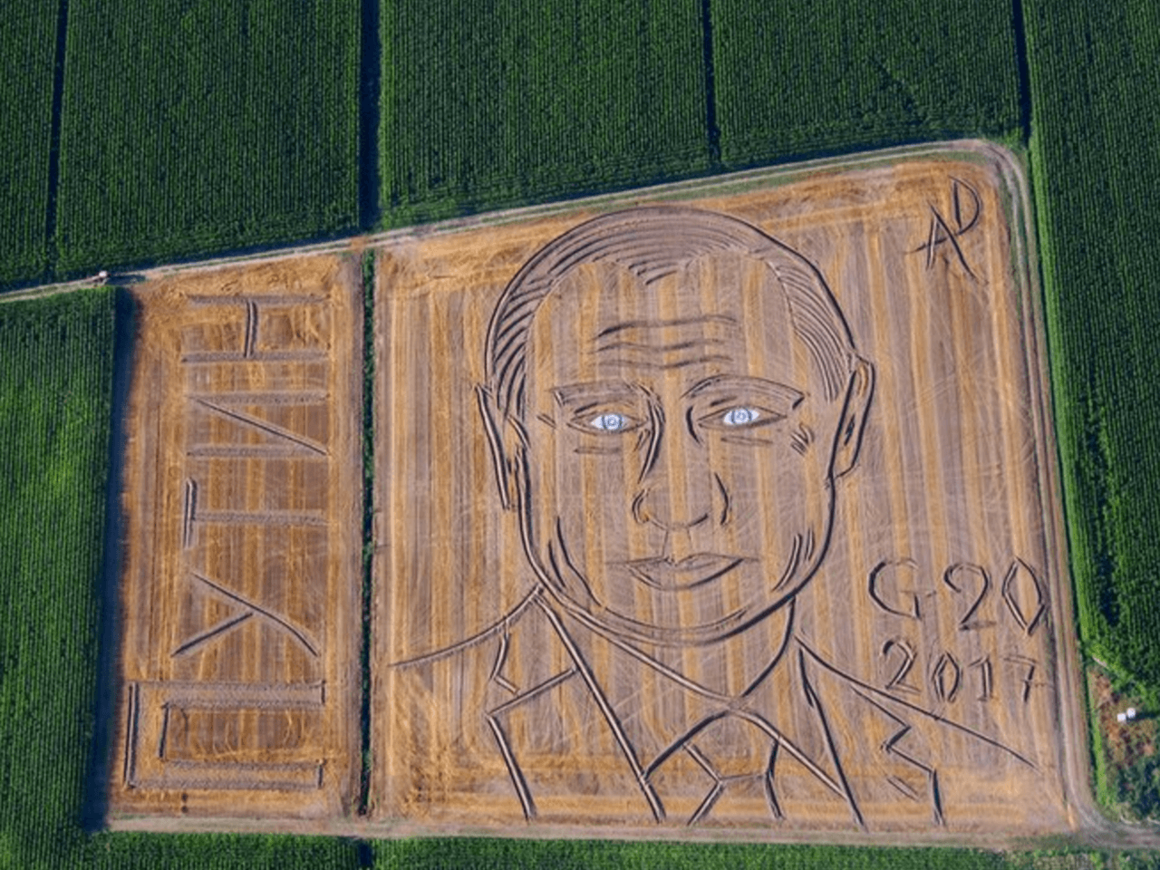 Italian Farmer Turns Field into Putin Portrait Ahead of G20