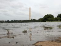 Washington monument flooding drain the swamp (Mark Wilson / Getty) Washington monument flooding drain the swamp (Mark Wilson / Getty)