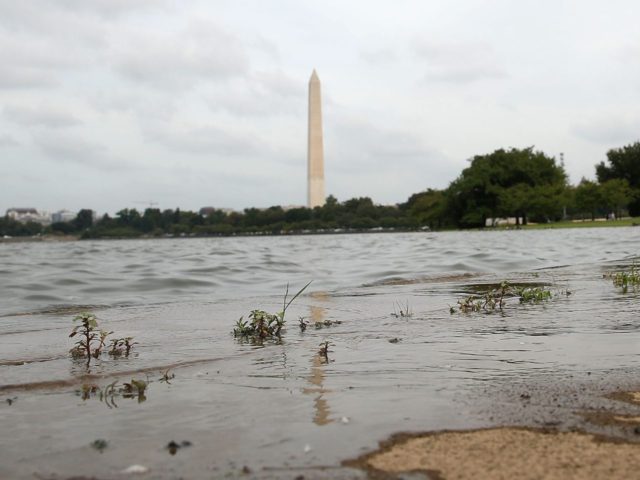 Washington monument flooding drain the swamp (Mark Wilson / Getty)