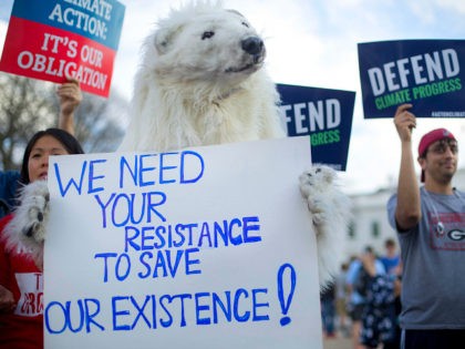 A demonstrator dressed as a polar bear joins others gather infront of the White House in W
