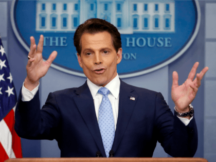 New White House communications director Anthony Scaramucci speaks to members of the media in the Brady Press Briefing room of the White House in Washington, Friday, July 21, 2017. (AP Photo/Pablo Martinez Monsivais)