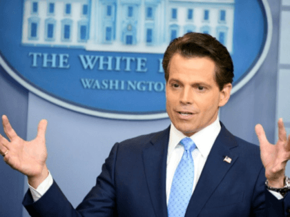 Anthony Scaramucci, named Donald Trump's new White House communications director, says he'