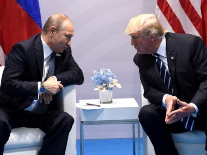 US President Donald Trump and Russia's President Vladimir Putin hold a meeting on the sidelines of the G20 Summit in Hamburg, Germany, on July 7, 2017