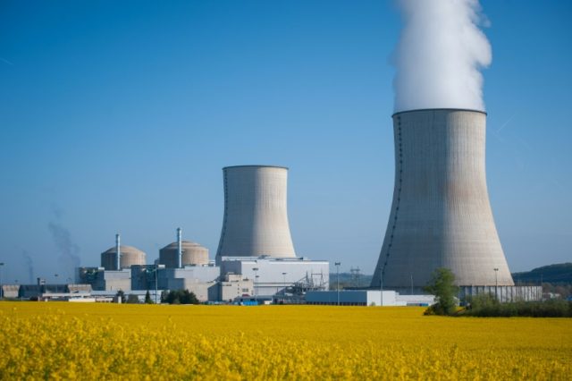 France's new environment minister said nearly a third of the country's reactors could be s