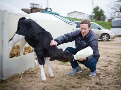 Mark Zuckerberg/Facebook