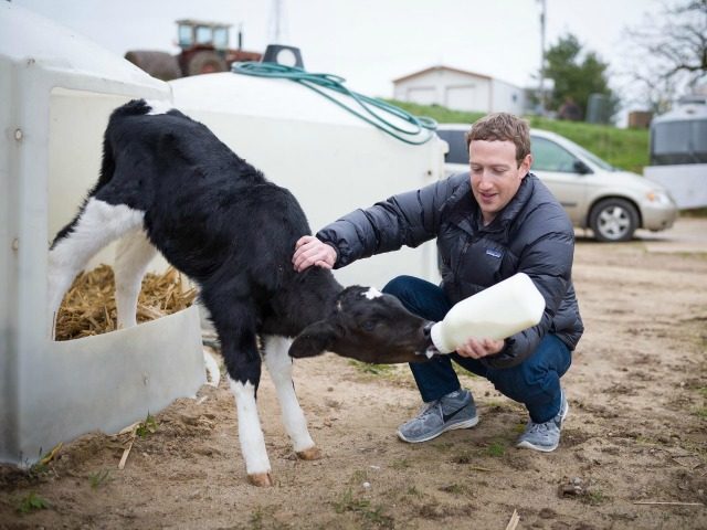 Mark Zuckerberg/Facebook