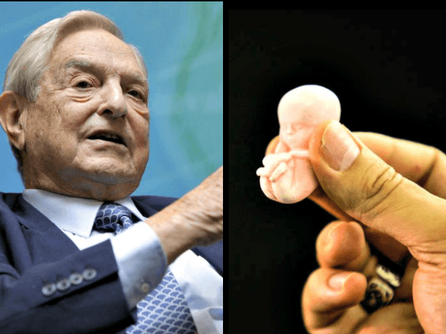 George Soros, fetus Bruno Domingos Reuters