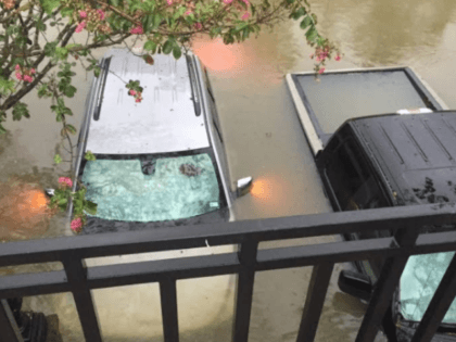 Houston Flooding - Beavers - 8-27