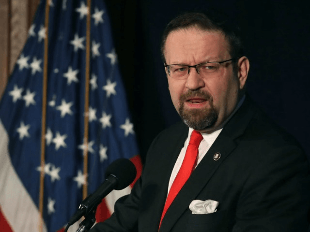 Sebastian Gorka (Mark WIlson / Getty)