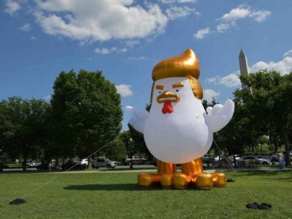 An inflatable chicken mimicking US President Donald Trump is set up on The Ellipse, a 52-a