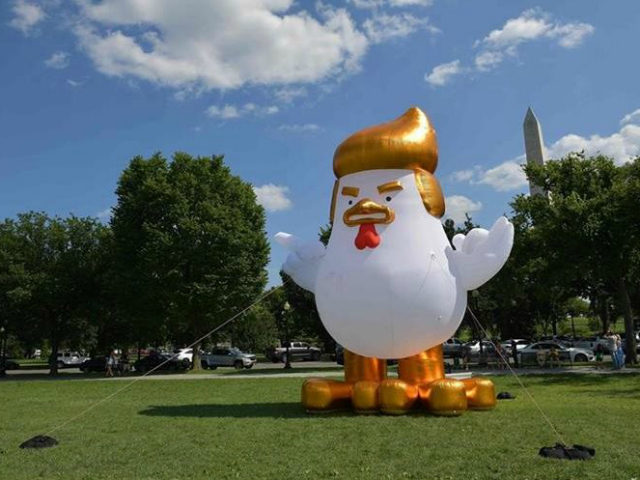 An inflatable chicken mimicking US President Donald Trump is set up on The Ellipse, a 52-acre (21-hectare) park located just south of the White House and north of the Washington Monument (rear). / AFP PHOTO / Mandel NGAN (Photo credit should read MANDEL NGAN/AFP/Getty Images)