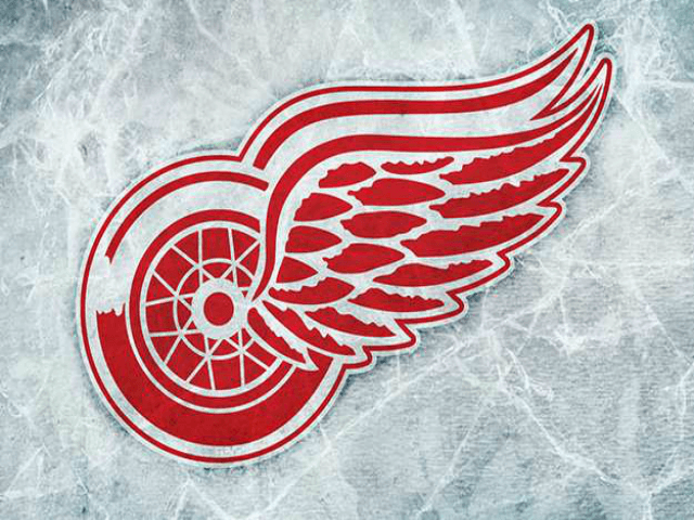 Detroit Red Wings Condemn Use of Their Logo by Protestors at ...