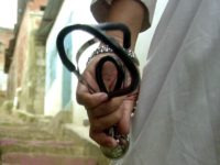 stethoscope doctor