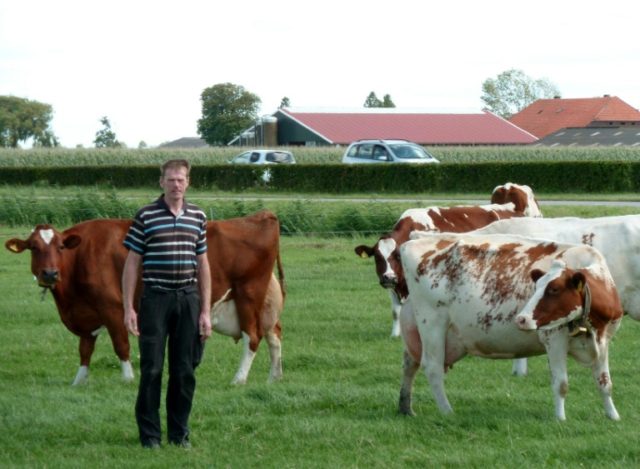 Many Dutch farmers, such as dairy producer Gerard Hartveld, who have no family to step int