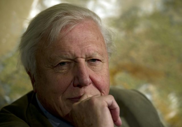 Knighted in 1985, David Attenborough has travelled the globe for more than six decades rep