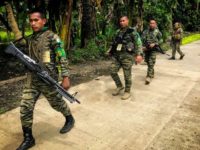 The 10,000-strong Moro Islamic Liberation Front (MILF), which has been fighting for a Muslim homeland in the largely Catholic Philippines for decades, is warning of the growing strength of Islamic State group-affiliated groups in the region AFP/File FERDINAND CABRERA
