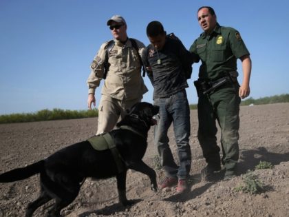 Border Patrol Agents arrest illegal alien - Getty Images John Moore