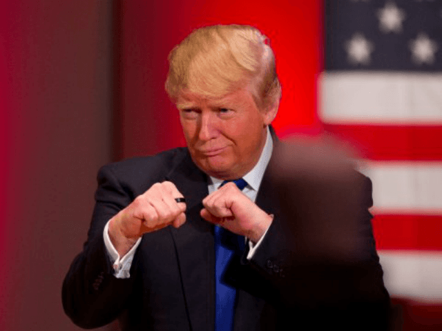 Donald-Trump-Boxing Ready