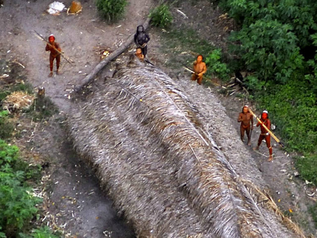 Members of an uncontacted tribe in Brazil in 2008. Indigenous groups in the Amazon are und