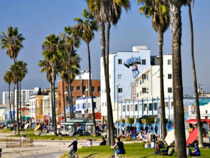 Palm Trees in L.A. Danita DelimontGetty ImagesGallo Images