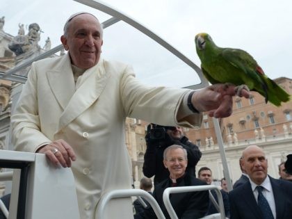 Pope Francis holds a parrot shown by a pilgrim as he arrives for his general audience at S