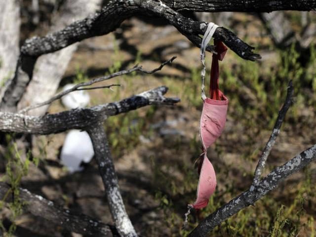 Rape Tree in Brooks County - AP Photo Eric Gay