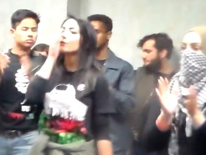 SJP Students for Justice in Palestine (Gary Fouse / YouTube / Screenshot)
