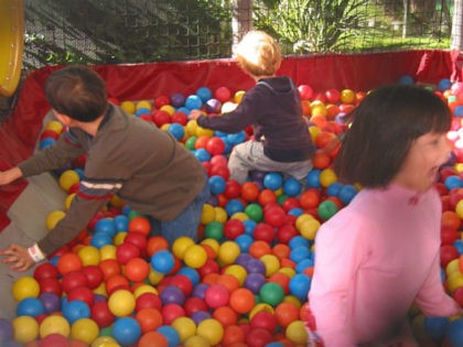 children playing in a ball pit