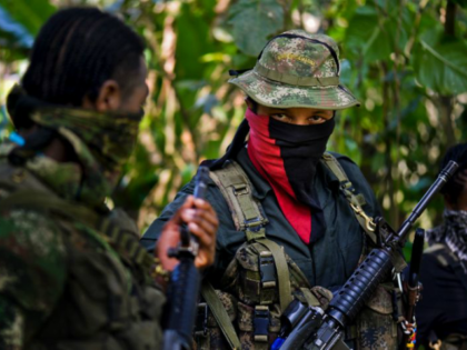The FARC and ELN formed in 1964 to fight for land rights and protection of poor rural communities in Colombia
