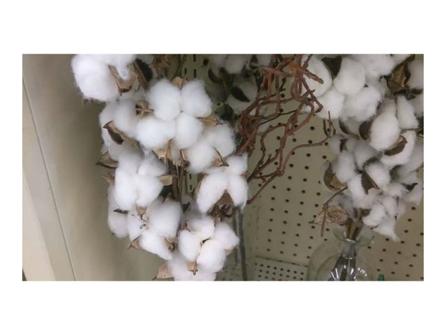 Daniell Rider, who said one Hobby Lobby store’s decision to display a vase containing cotton stalks is insensitive toward blacks, is gaining a lot of attention on social media.