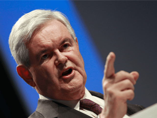 Gingrich: We're Seeing the 'Dumbing Down of America for Three Generations'