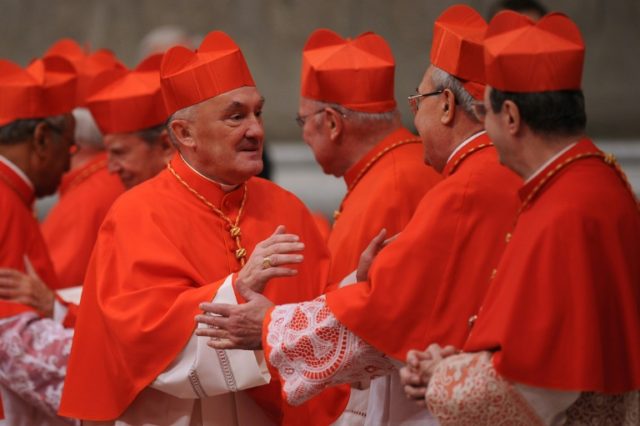 Cardinal Kazimierz Nycz echoed concern from Poland's opposition and the European Union ove