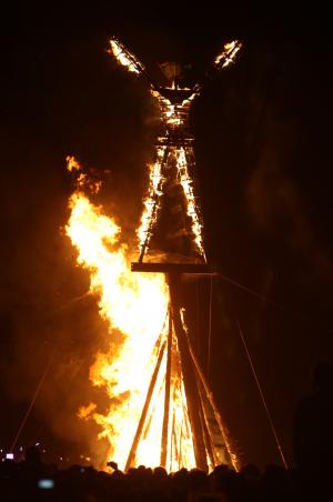 Man dies at Burning Man after running into fire