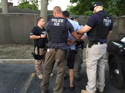 ICE officer arrest alleged criminal alien