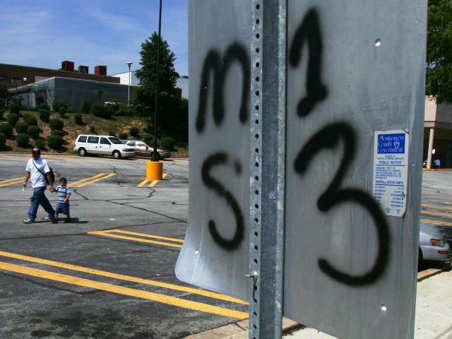 Two Teenage Ms 13 Gang Members Arrested In Maryland Murder Case 