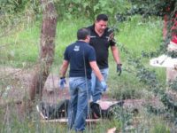 Michoacan murders