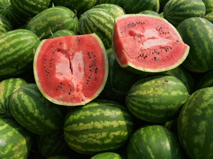 Share this document 2909141 08/10/2016 Harvesting watermelons in Adzyubzha village in Abkhazia's Ochamchyrsky District. Ilona Hvartskiya/Sputnik Ilona Hvartskiya / Sputnik