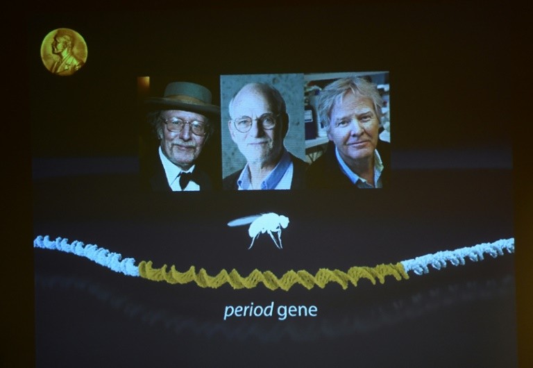 US biology trio wins Nobel Medicine Prize Breitbart