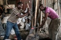 Small businesses are getting hammered by political uncertainty in Kenya Small businesses are getting hammered by political uncertainty in Kenya