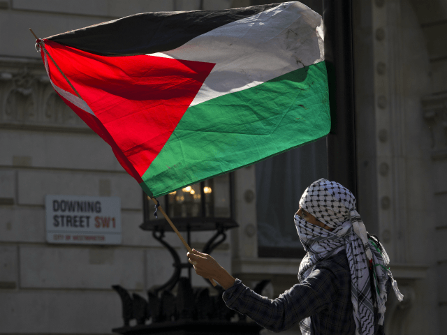 A pro-Palestinian demonstrator waves the Palestinian flag outside the gates of Downing Street in London on September 9, 2015, during a protest to oppose the visit of Israeli Prime Minister Benjamin Netanyahu. Over 100 pro-Israeli demonstrators and hundreds of pro-Palestinian activists rallied in front of Downing Street in London ahead …