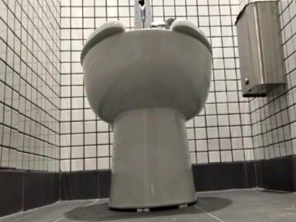 Gender Neutral High School Toilet