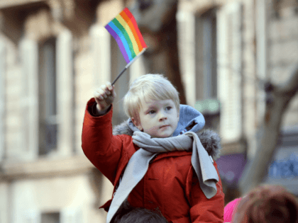 People take part in a demonstration for the legalisation of gay marriage and LGBT (lesbian, gay, bisexual, and transgender) parenting, in Paris on January 27, 2013, two days before a parliamentary debate on the government’s controversial marriage equality bill, which will allow gay couples the same rights as their straight …