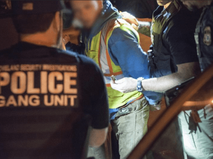 ICE Operation Raging Bull - arrests