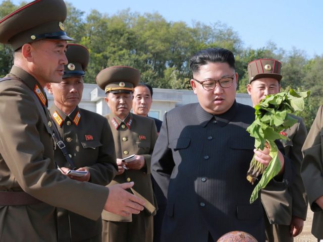 Kim Jong-un vegetable (STR / AFP / Getty)