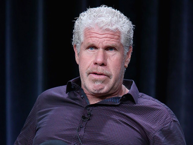 BEVERLY HILLS, CA - AUGUST 03: Actor Ron Perlman speaks onstage during the 'Hand Of God' panel discussion at the Amazon Studios portion of the 2015 Summer TCA Tour at The Beverly Hilton Hotel on August 3, 2015 in Beverly Hills, California. (Photo by Frederick M. Brown/Getty Images)